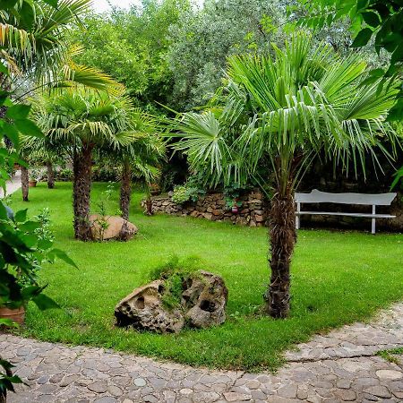 Residence L'Ulivo Budoni Exterior foto
